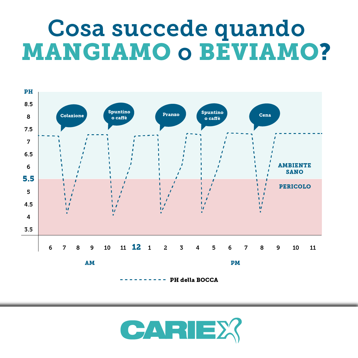 Healthy Stephan Curve - Cariex
