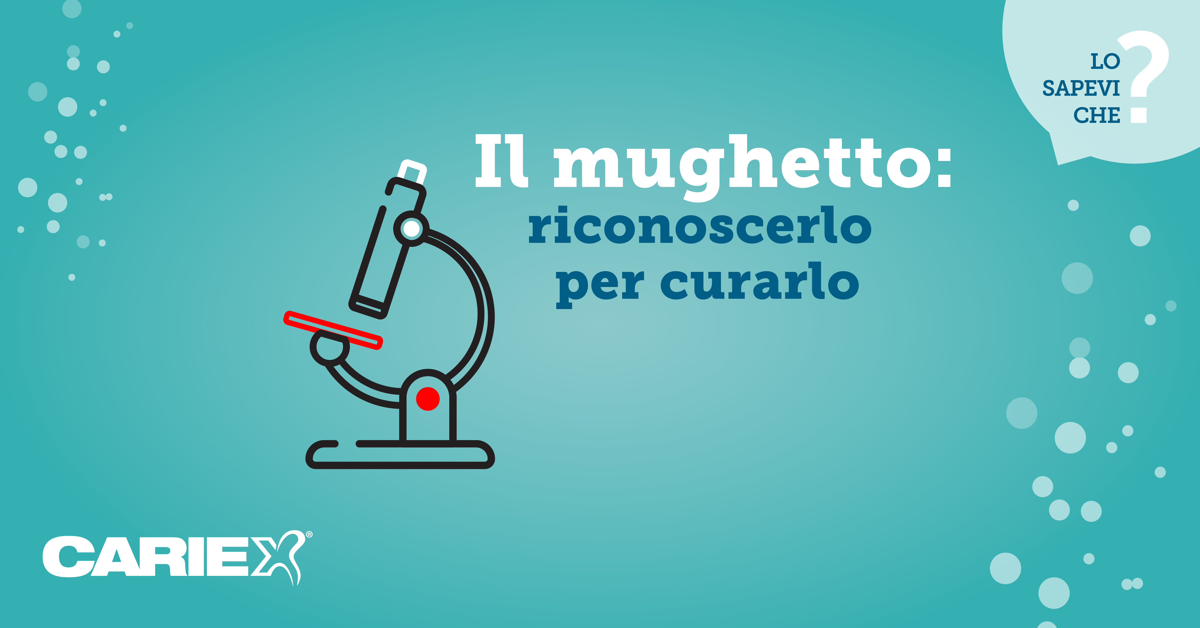 Il mughetto riconoscerlo per curarlo
